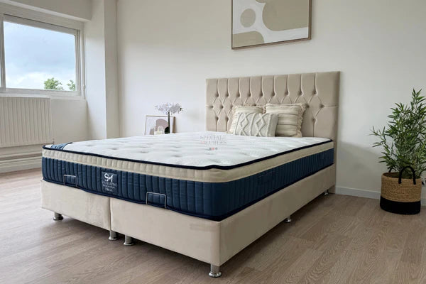 Lit coffre hugo velours